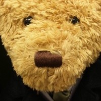 ハロッズ　限定　イヤーベア 　2010　販売済みのサムネイル